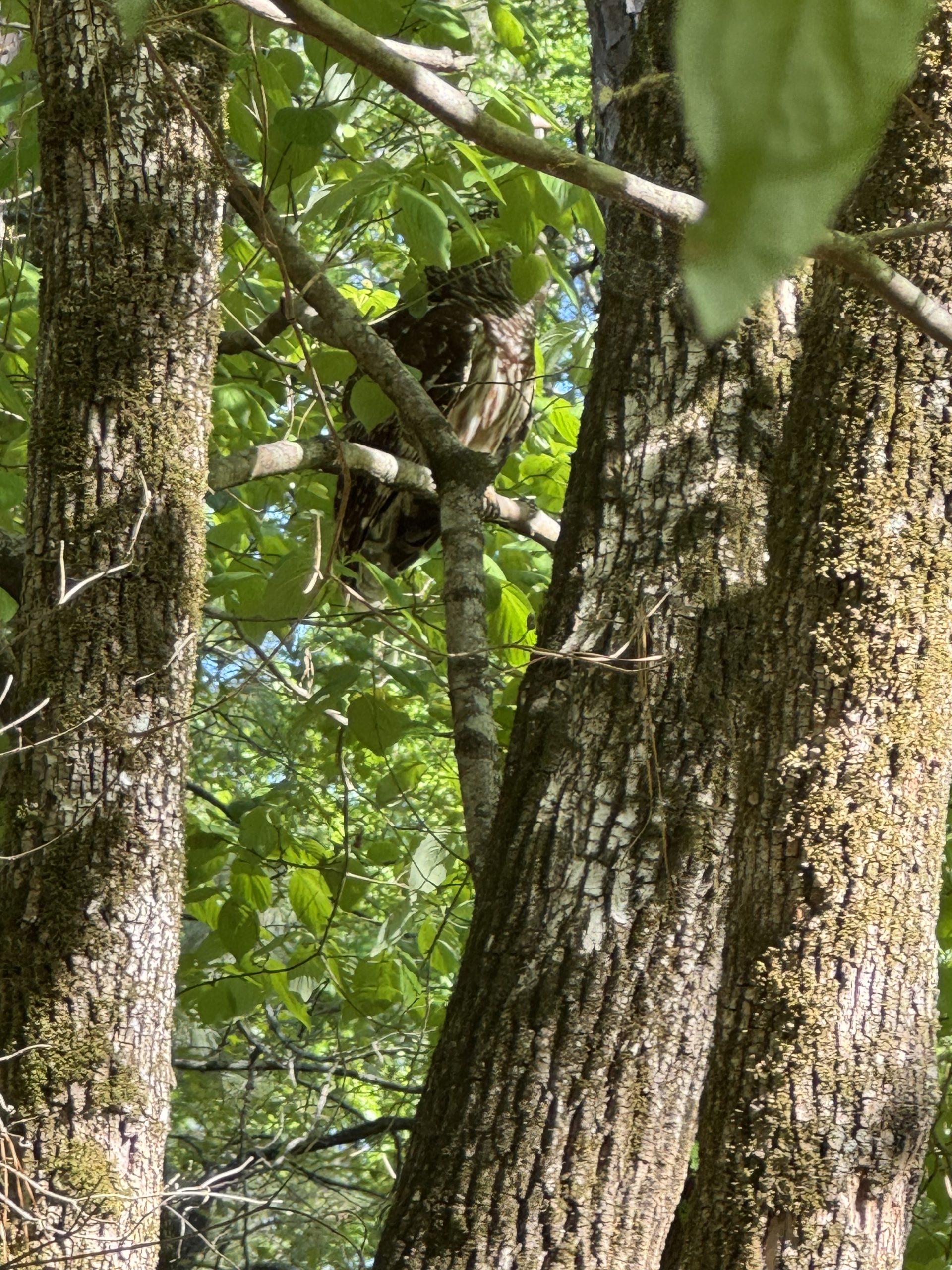 Nature on the grounds